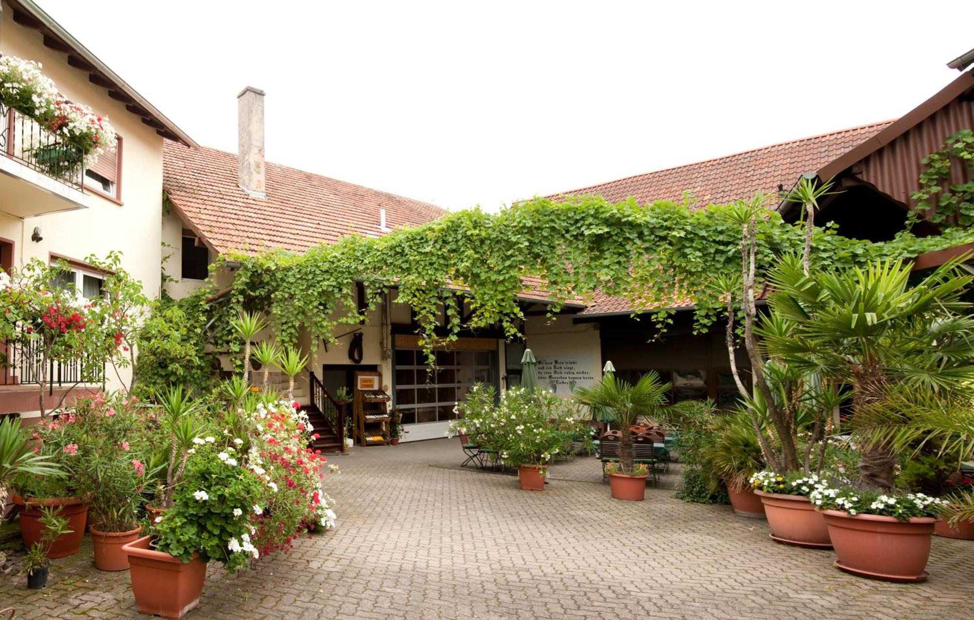 Weingut Und Gaestehaus Vongerichten Oberhausen  Exterior foto
